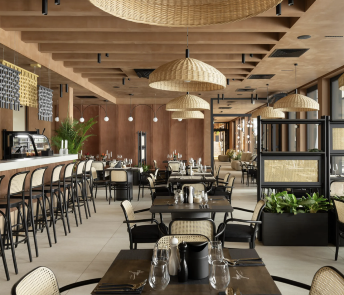 Capture d'écran 2026-02-17 173408